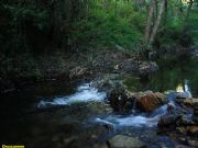 Paseo por la orilla del Xares. Portomourisco. Petn, Orense